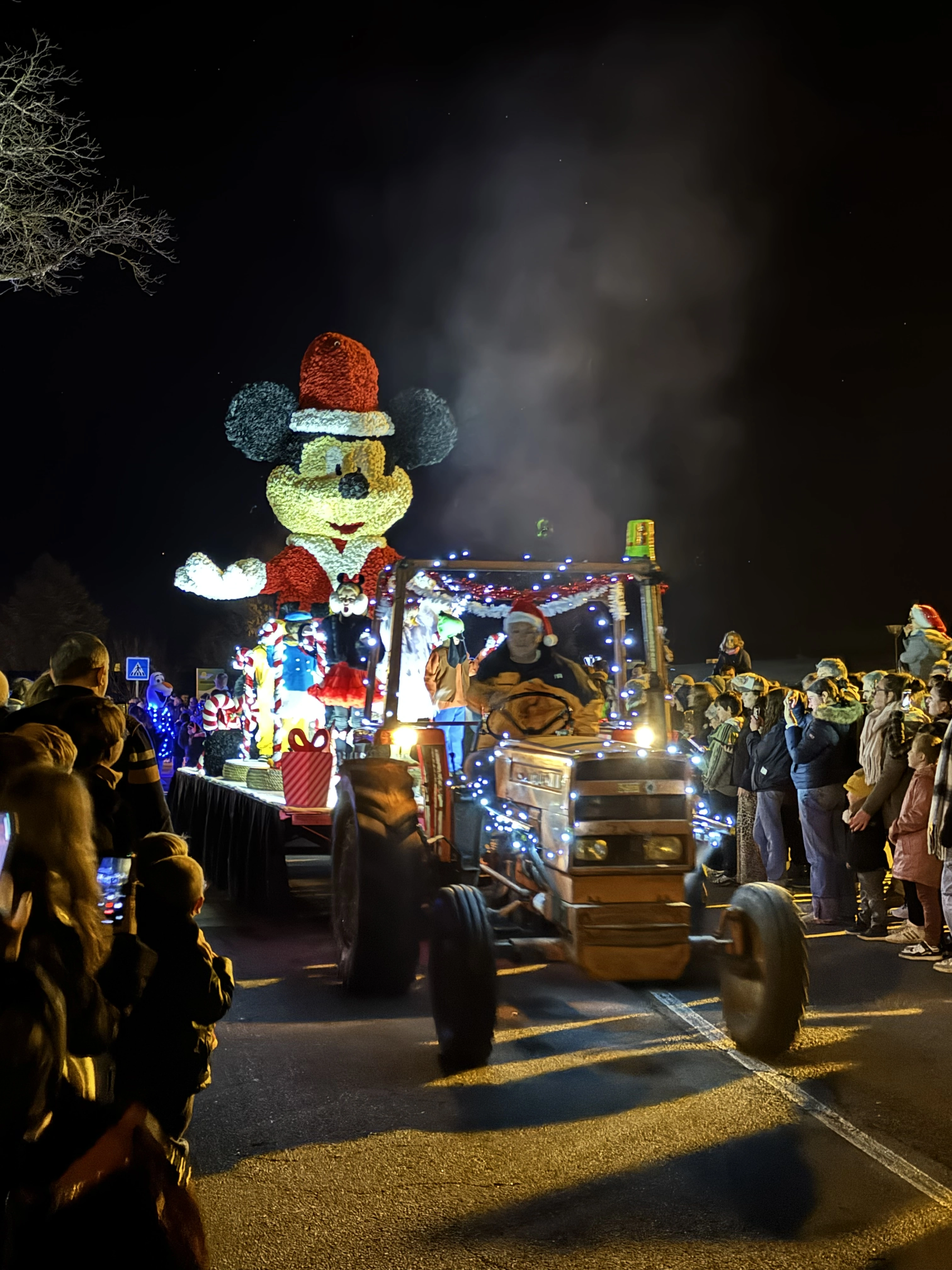 PARADE ENCHANTÉE DE NOEL DU MASSEGROS ET SON MARCHÉ DE NOEL