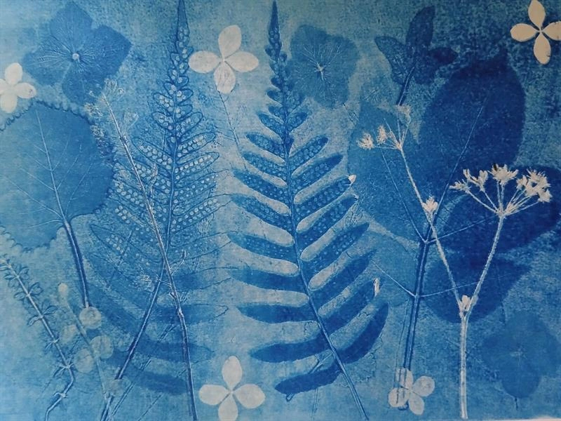Exposition - Jardins sous les étoiles