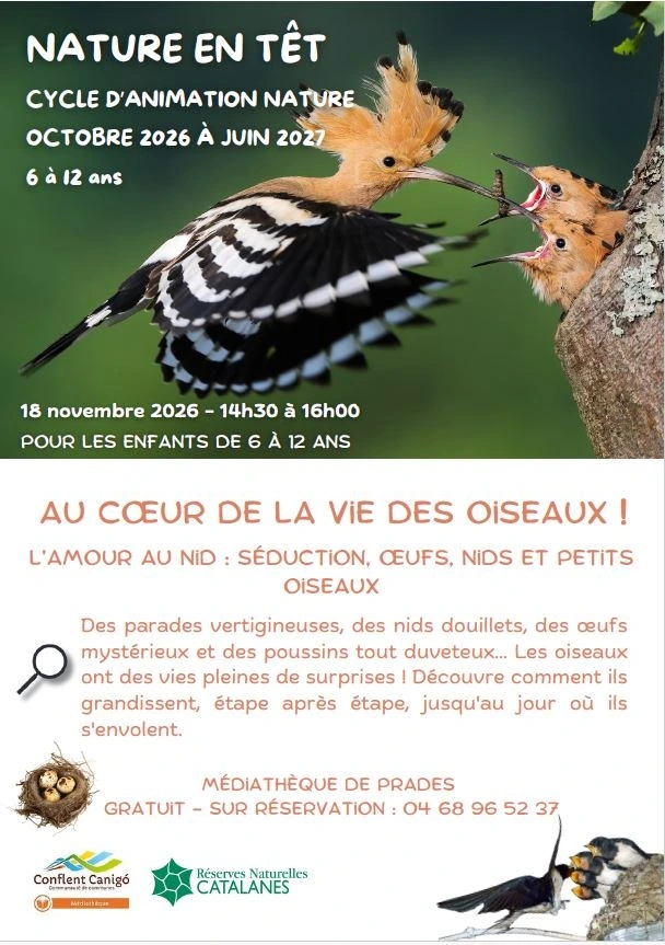 NATURE EN TÊT: L'AMOUR AU NID, SÉDUCTION, OEUFS, NIDS ET PETITS OISEAUX