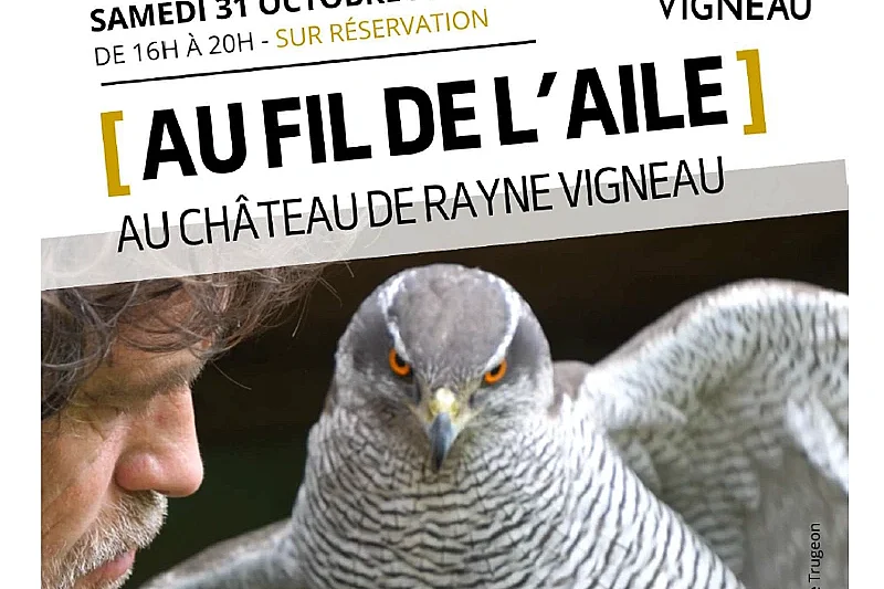 Au fil de l'aile