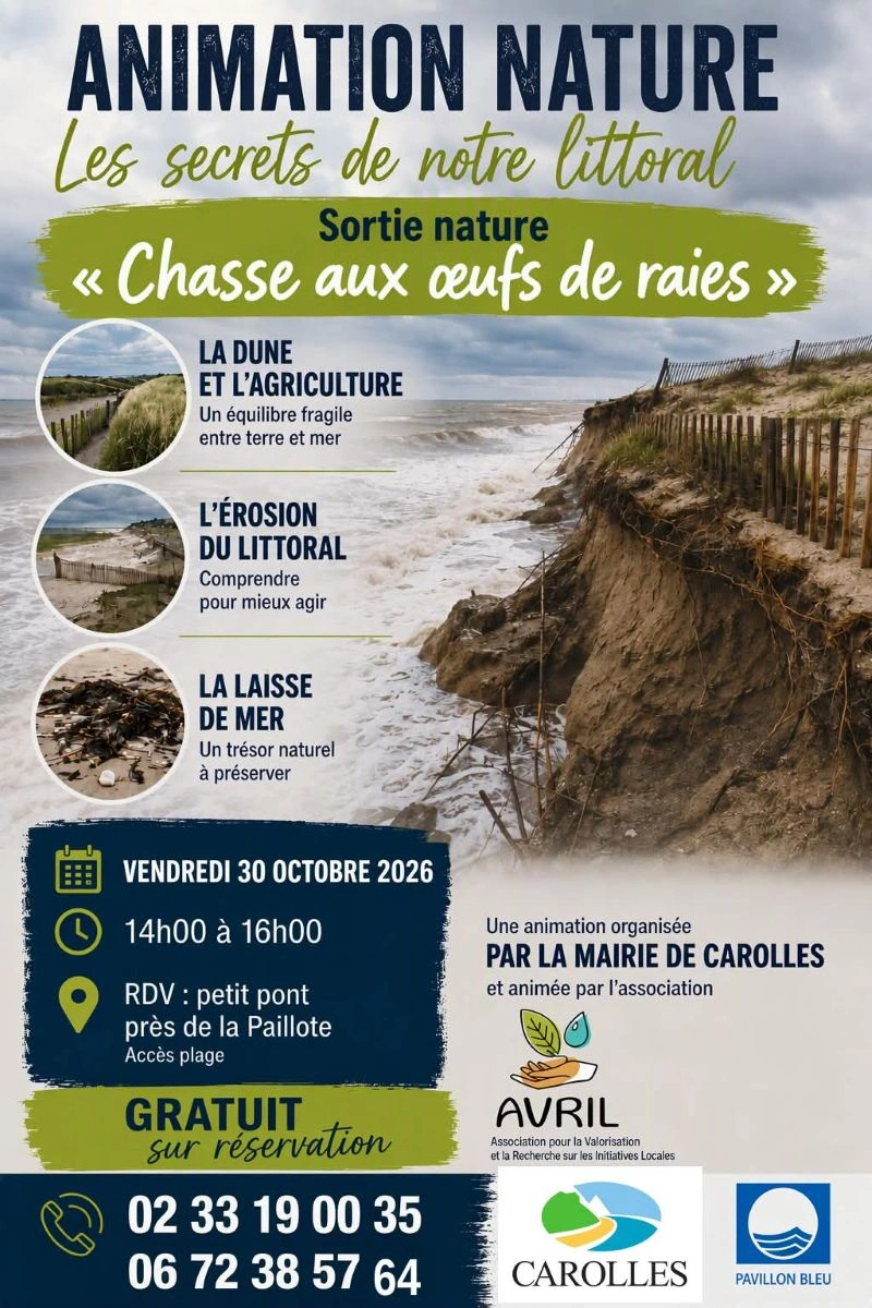 Secrets de notre littoral "Chasse aux œufs de raies"