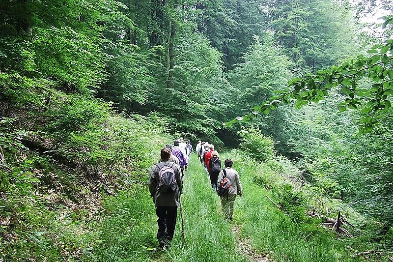 Marche avec Loisirs Vélo Hombourg