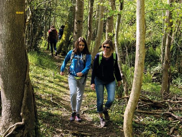 Marche et brunch des Hirondelles