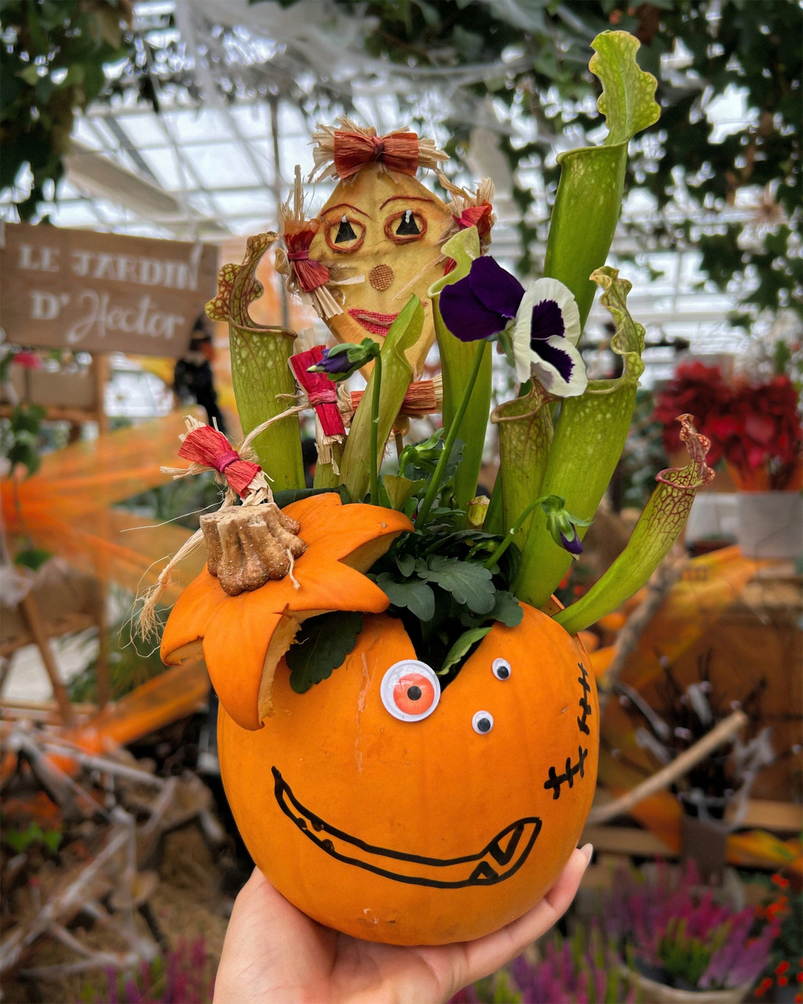 Ateliers enfants spécial Halloween chez Mendi - Rempotage dans une citrouille