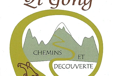QI GONG ET QI GONG ADAPTÉ