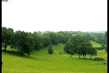 Les terroirs des noyers