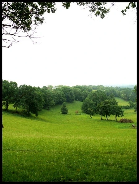 Les terroirs des noyers