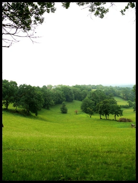 Les terroirs des noyers