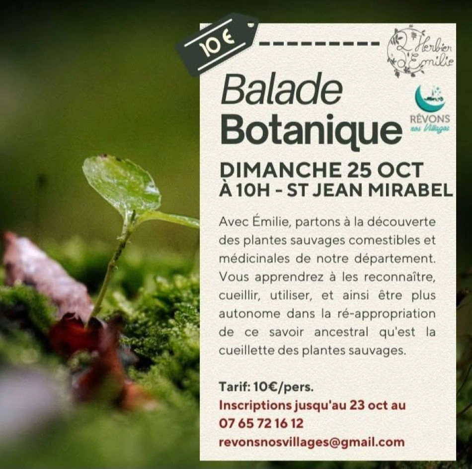 Balade botanique à Saint Jean Mirabel