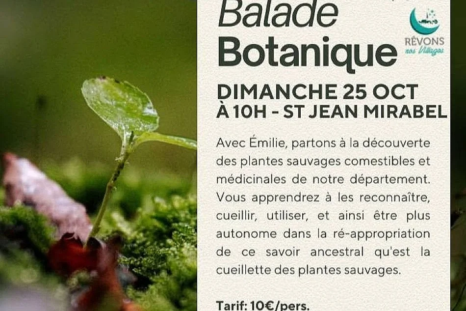 Balade botanique à Saint Jean Mirabel