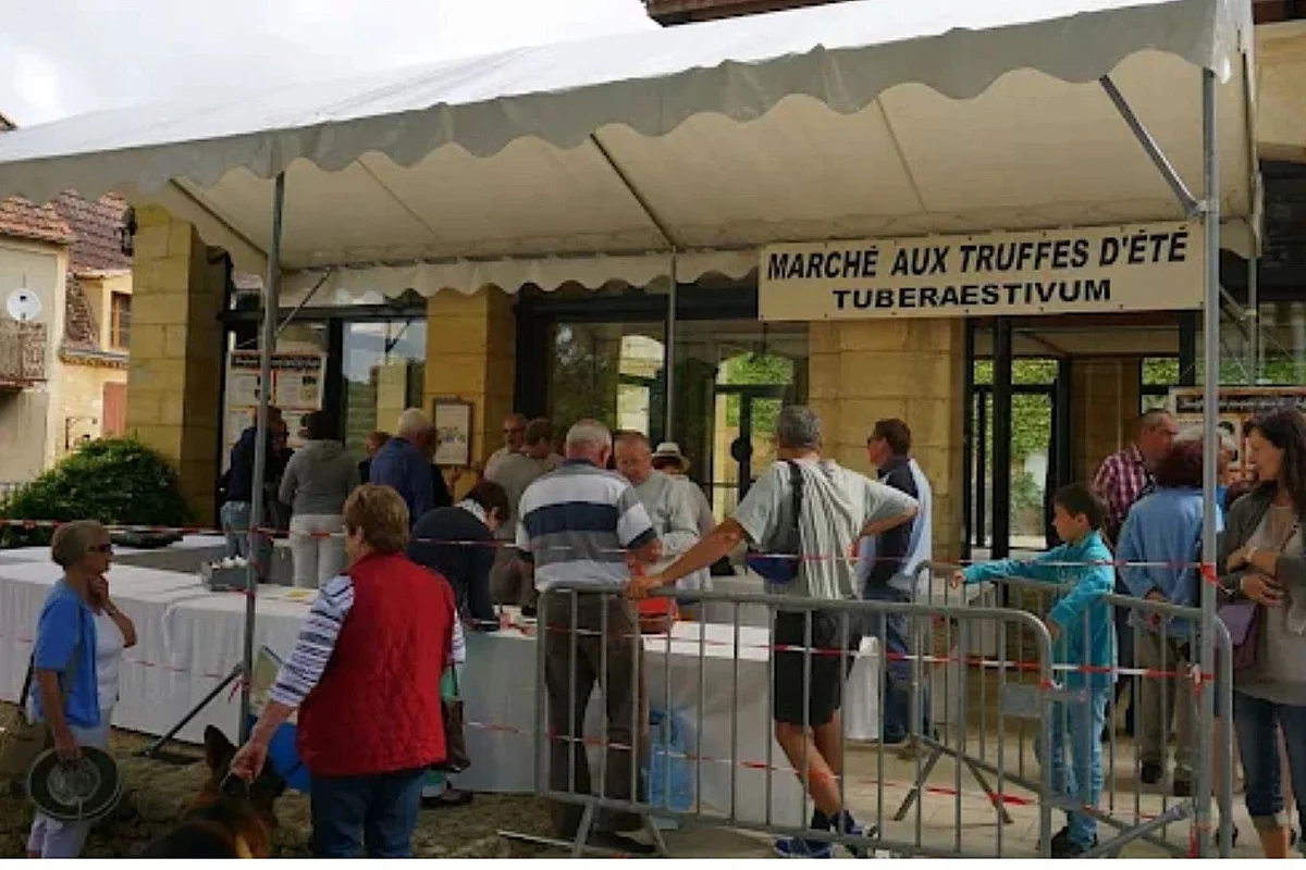 Marché aux Truffes de Sainte-Alvère
