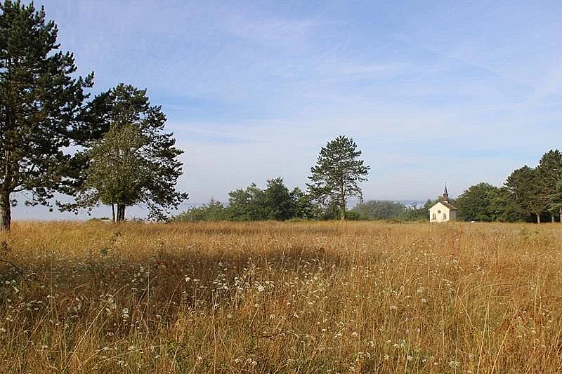Balade « Découverte paysagère au plateau de Beauregard »