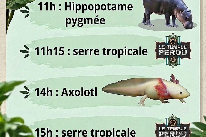 Animations Vacances d'Automne