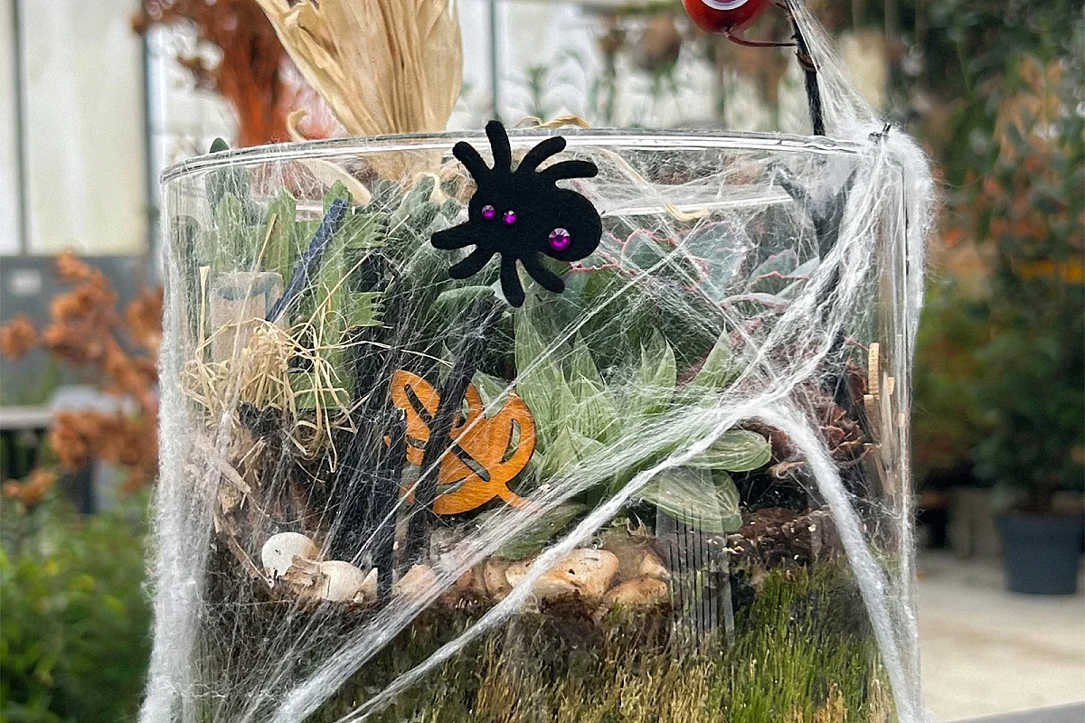 Ateliers enfants spécial Halloween chez Mendi - Terrarium