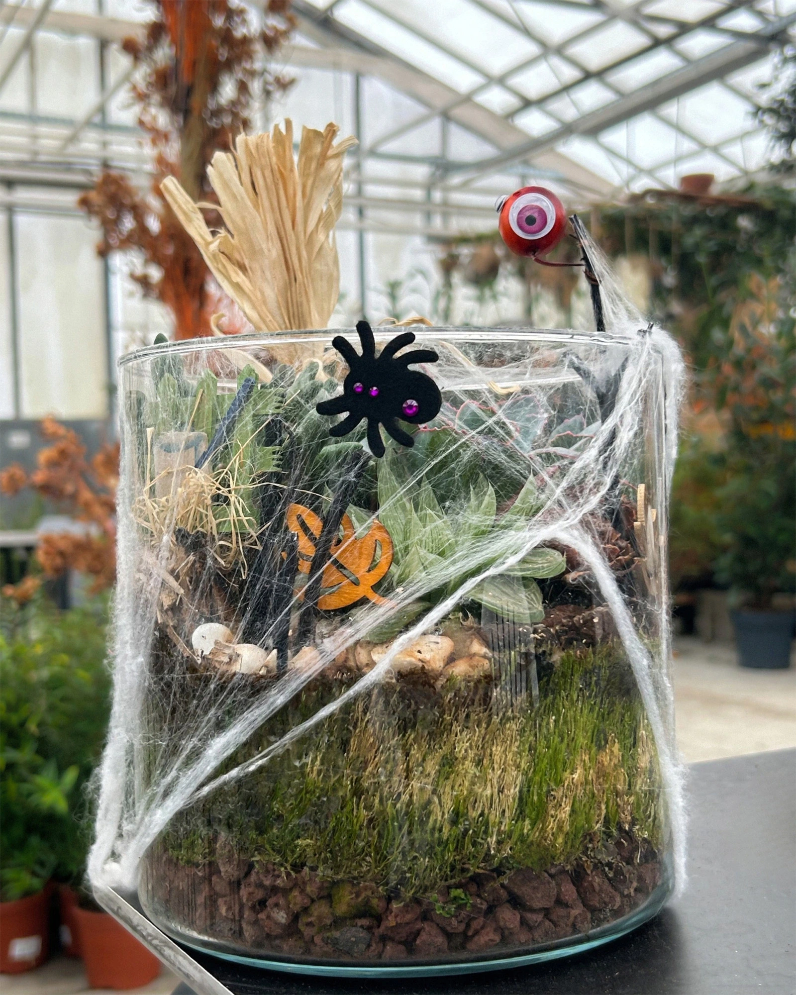 Ateliers enfants spécial Halloween chez Mendi - Terrarium