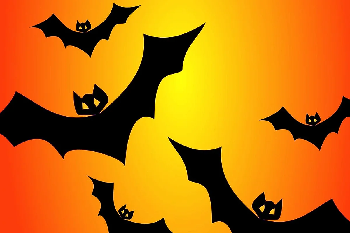 Halloween - ABRACADABRA