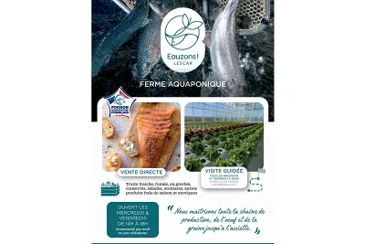Visite Ferme Aquaponique