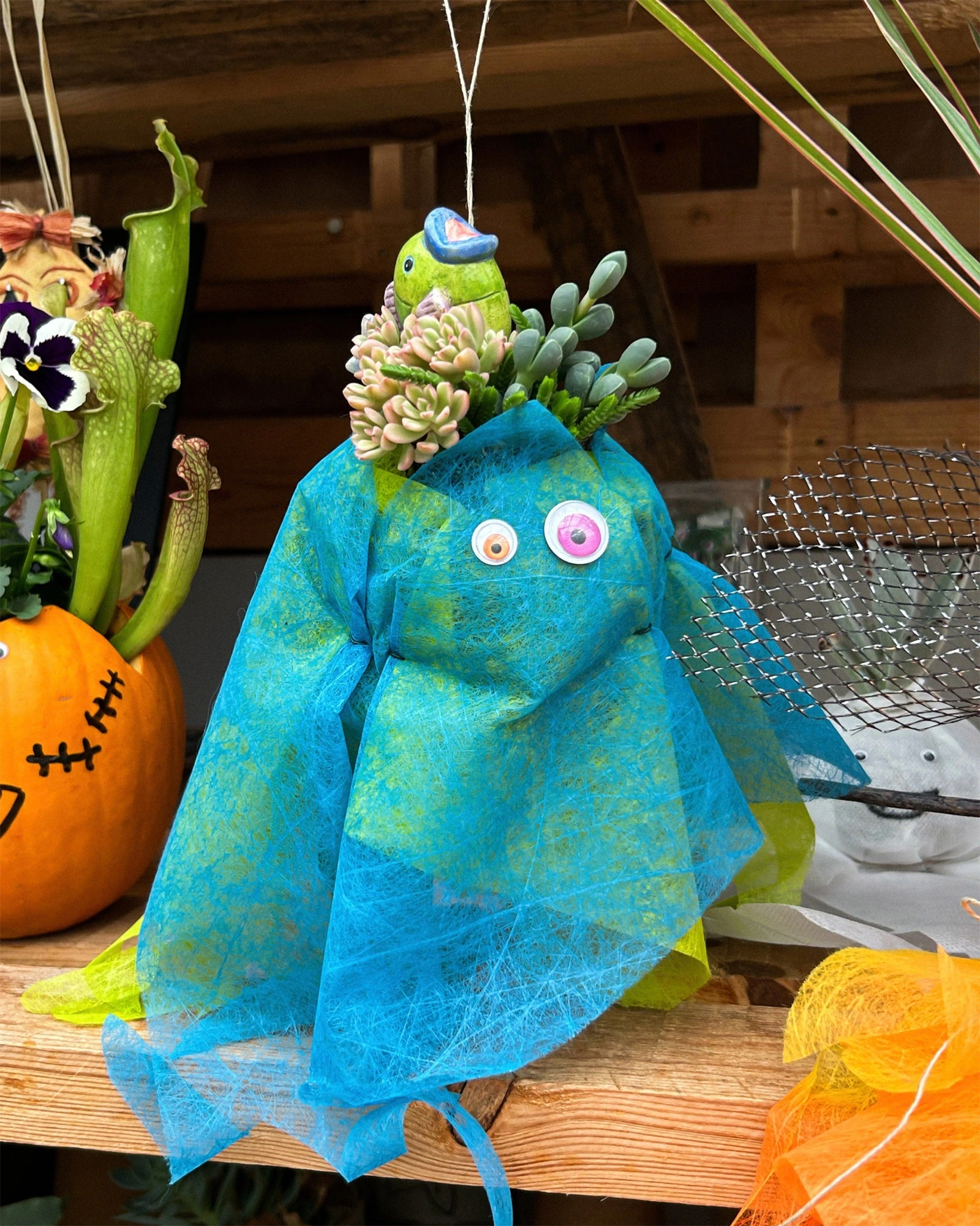Ateliers enfants spécial Halloween chez Mendi - Kokedama