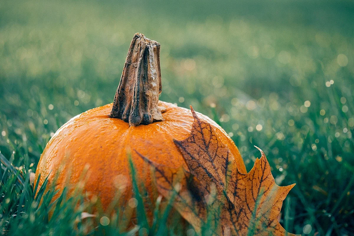 FÊTE DE L'AUTOMNE