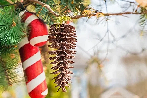 Marché de Noël à Lédergues