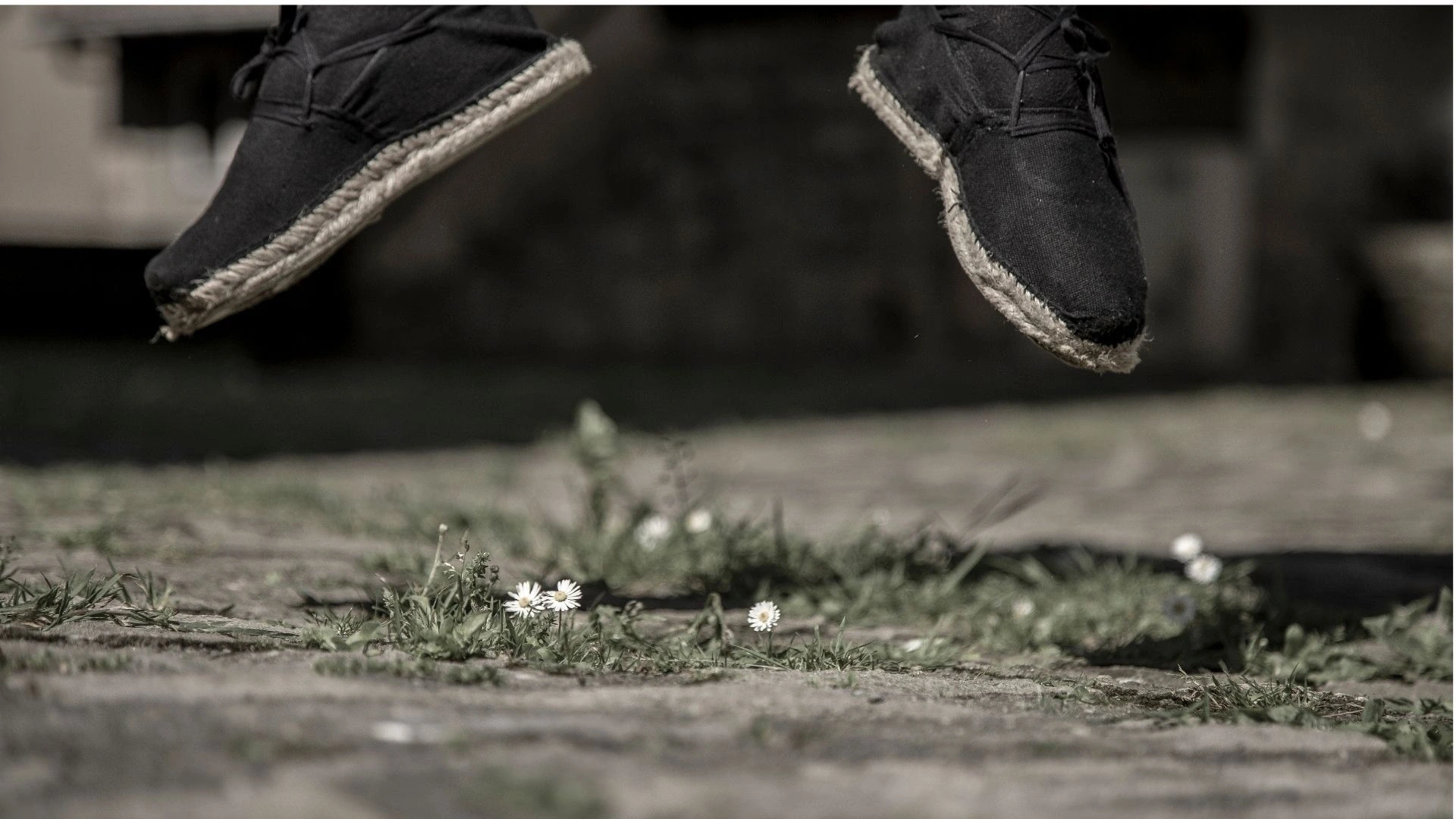 Danse et musique : Bota