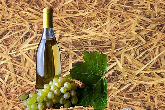 Histoire des vins et fromages en Sologne Conférence du GRAHS
