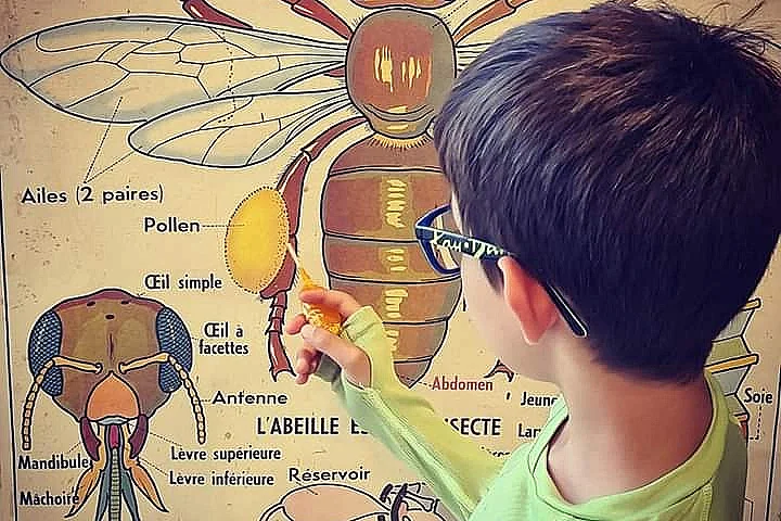 ATELIER CREATIF ET VISITE A LA MIELLERIE