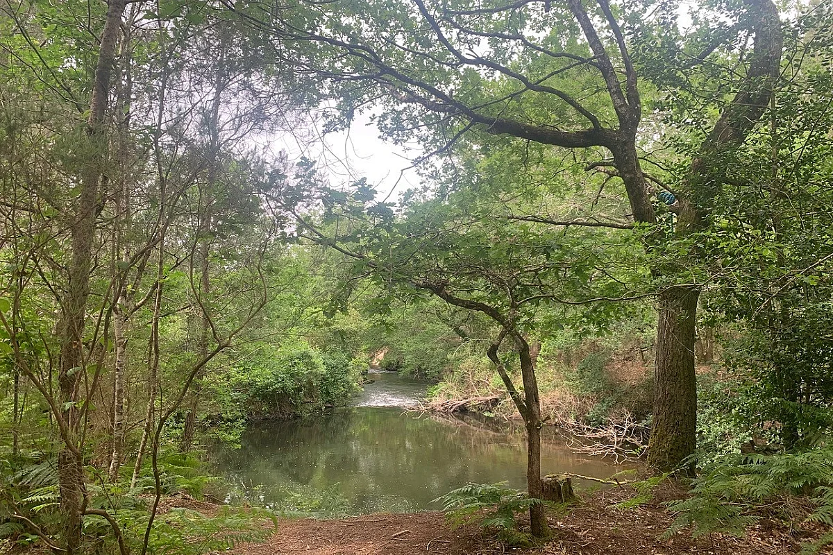 Balade nature