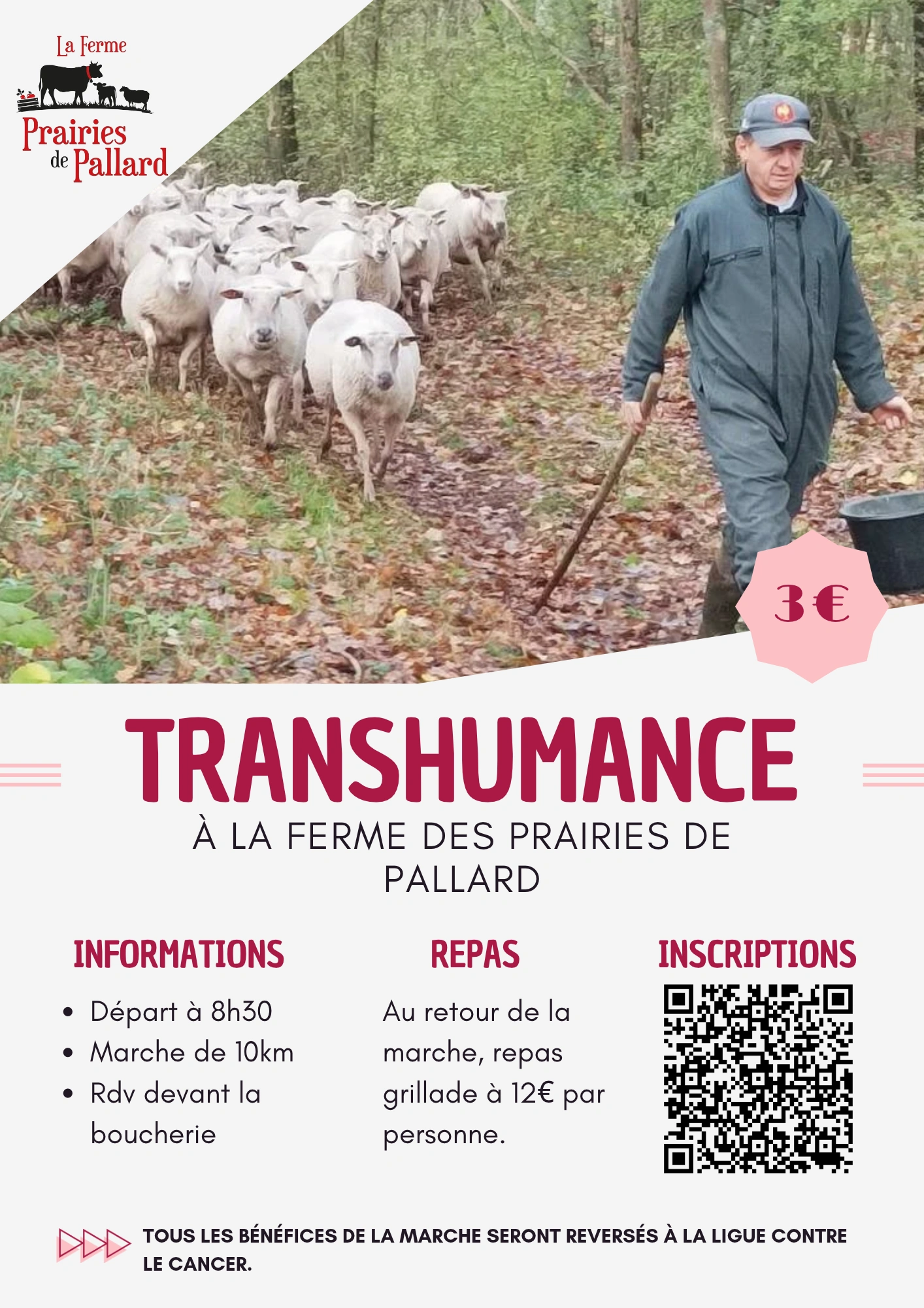 Balade transhumance et repas à la Ferme des Prairies de Pallard