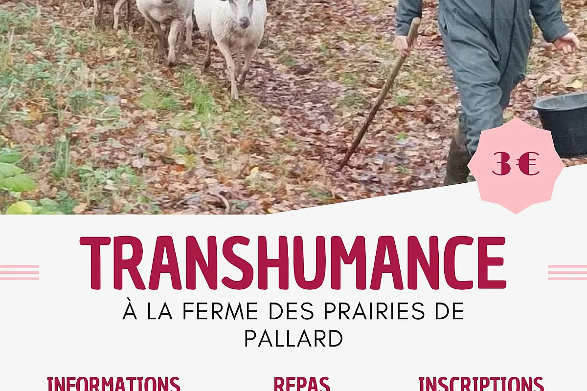 Balade transhumance et repas à la Ferme des Prairies de Pallard