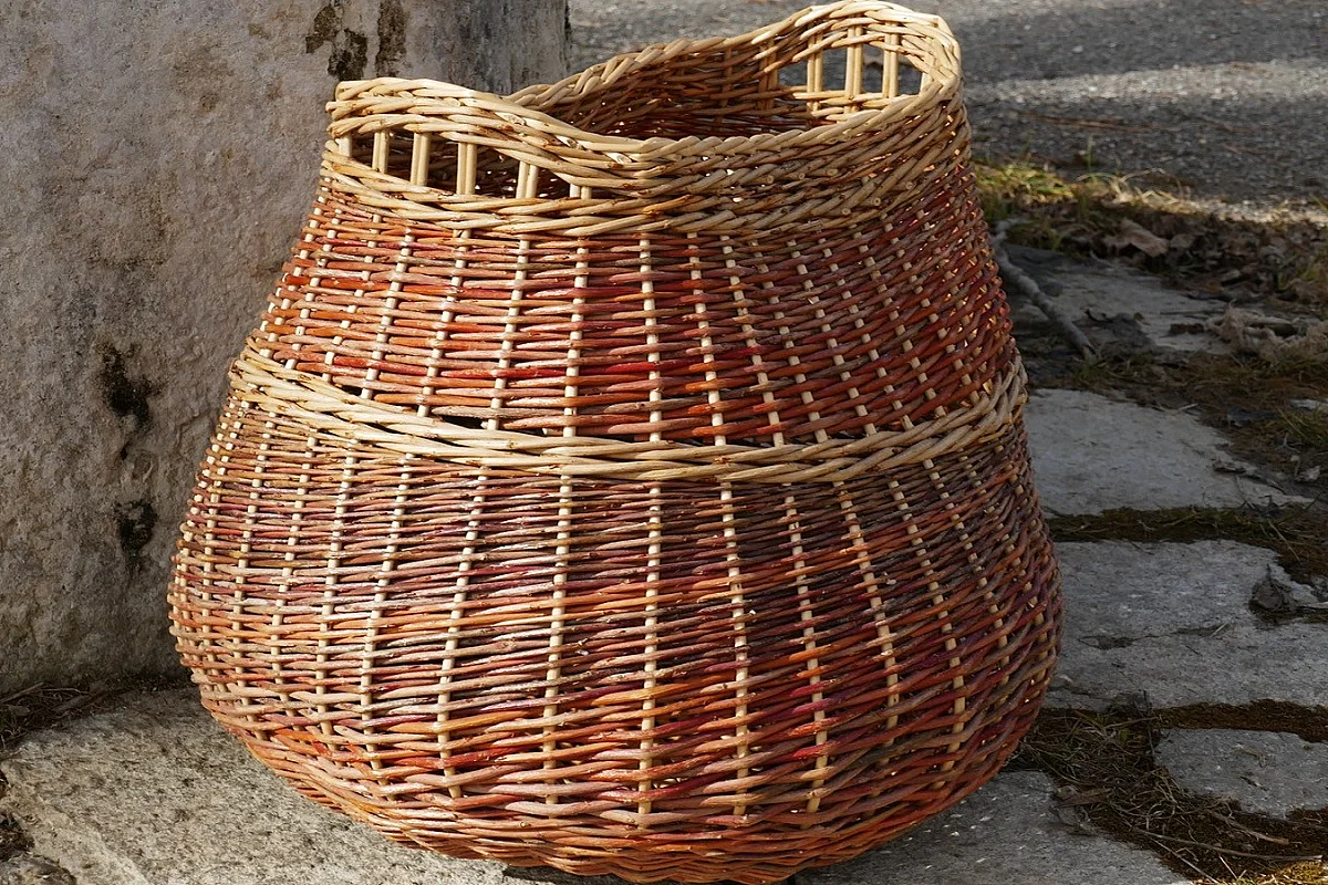 Stage de vannerie : la corbeille « organique »