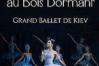 La Belle au bois dormant