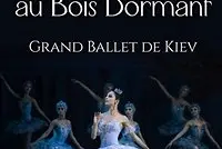 La Belle au bois dormant