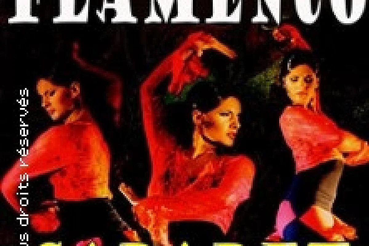Cabaret Flamenco - Espace Culturel du Vieux Lyon