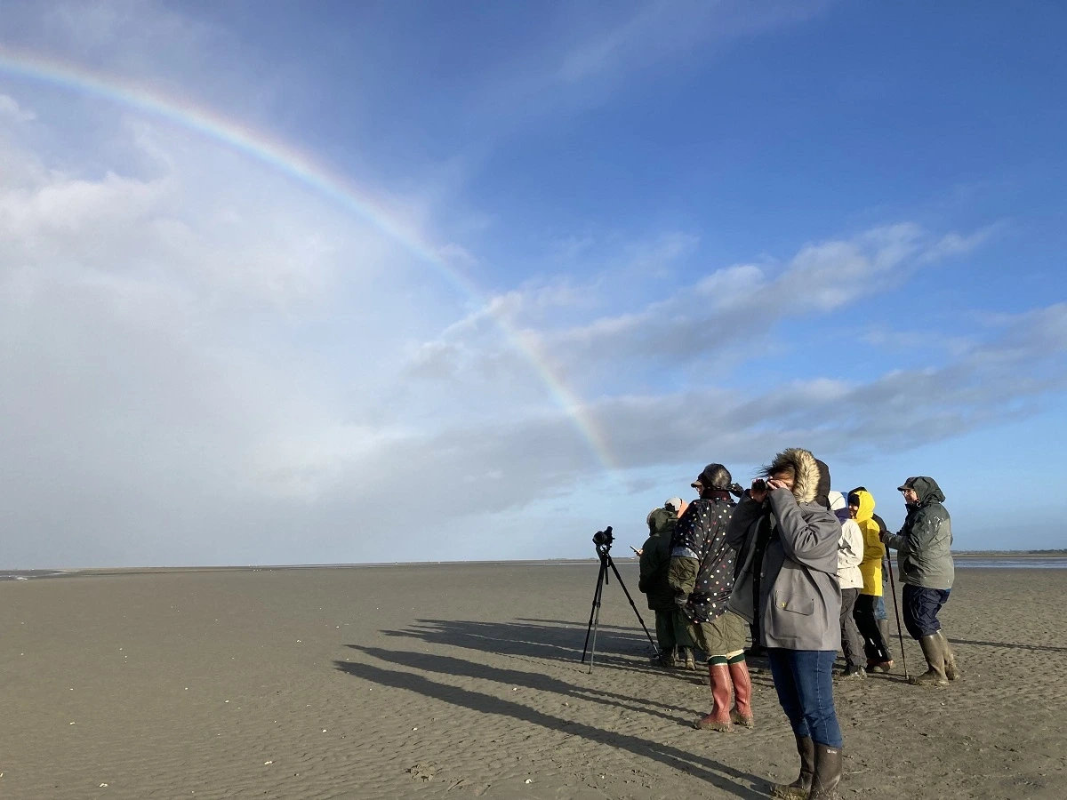 Baie des Veys : Ses oiseaux, ses phoques