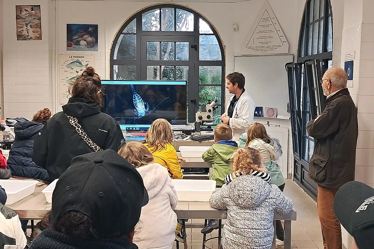Atelier parent-enfant "Comme des détectives, partez à la recherche de monstres marins échappés du laboratoire de Tatihou !