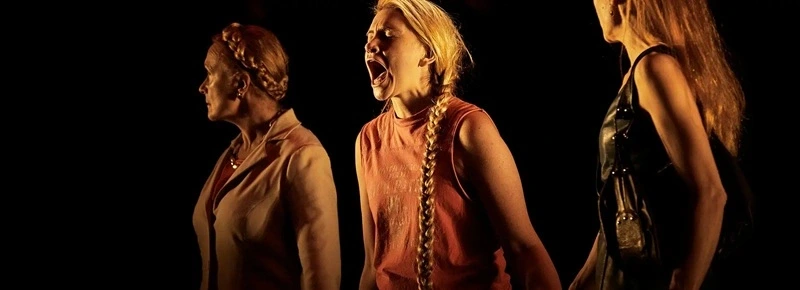 Diffusion de la pièce de théâtre Les Serpents - Captation du Centre Dramatique National de Tours - Théâtre Olympia