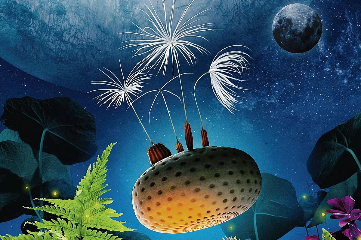 CINECO : PLANÈTES