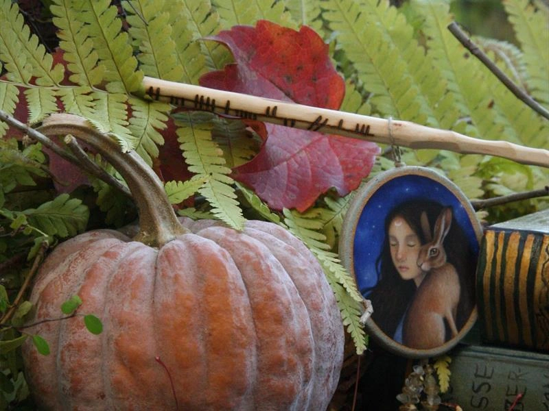 Halloween au pays des plantes sauvages