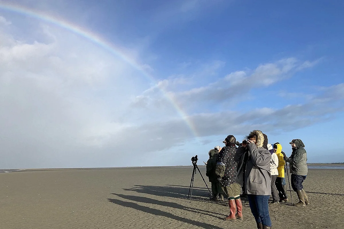 Baie des Veys : Ses oiseaux, ses phoques