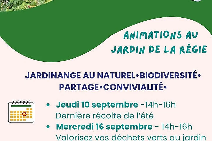 Animations au jardin de la Régie : animation sculpture sur citrouille