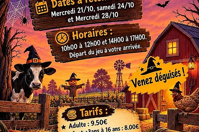 Halloween - Mais où est le grimoire de la sorcière ?