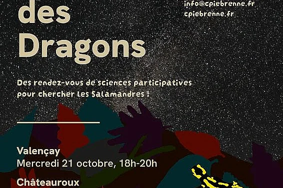 La nuit des dragons