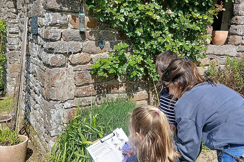Deviens le gardien des oiseaux de l’abbaye