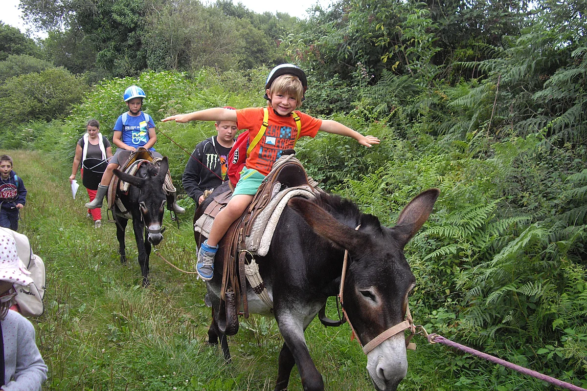 Journée pour les enfants, à la ferme Bibane