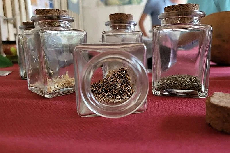 Festival Bêtes et Sorcières - Atelier en famille "Arôme antique"