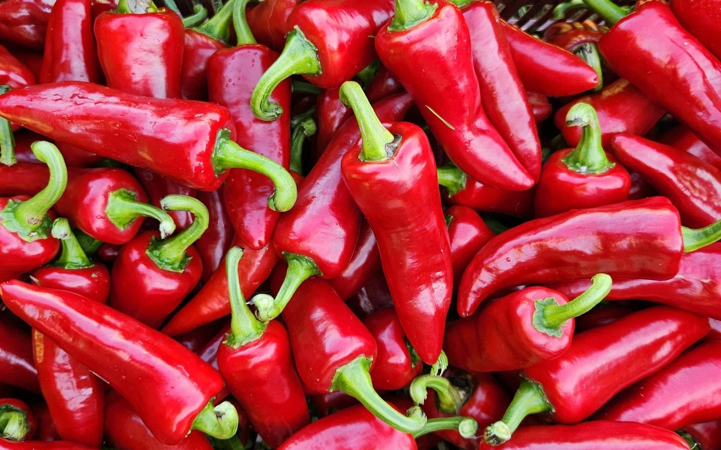 L’Atelier Découverte de la Ferme Kultur Piment