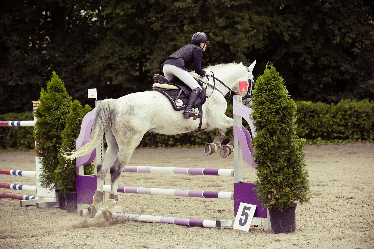 Concours de saut d'obstacles Jump Halloween