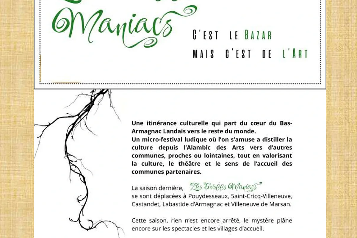 Les Soirées Maniacs : C'est le bazar mais c'est de l'Art