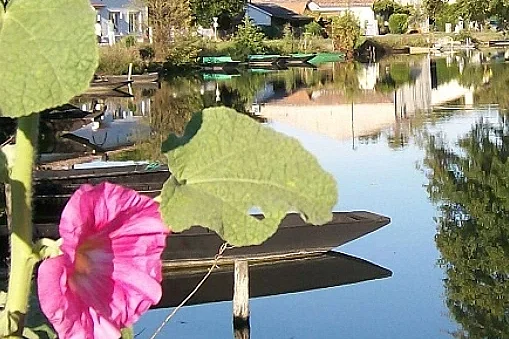 Stage de pêche des carnassiers aux leurres - à Coulon